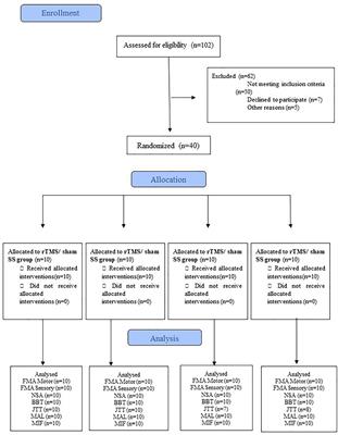 Somatosensory Cortex Repetitive Transcranial Magnetic Stimulation and Associative Sensory Stimulation of Peripheral Nerves Could Assist Motor and Sensory Recovery After Stroke